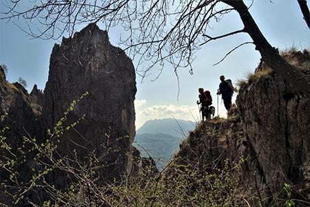 Monte Cancervo ad anello dalla Pianca sui sentieri CAI 102-130-131 il 1 maggio 2019 - FOTOGALLERY